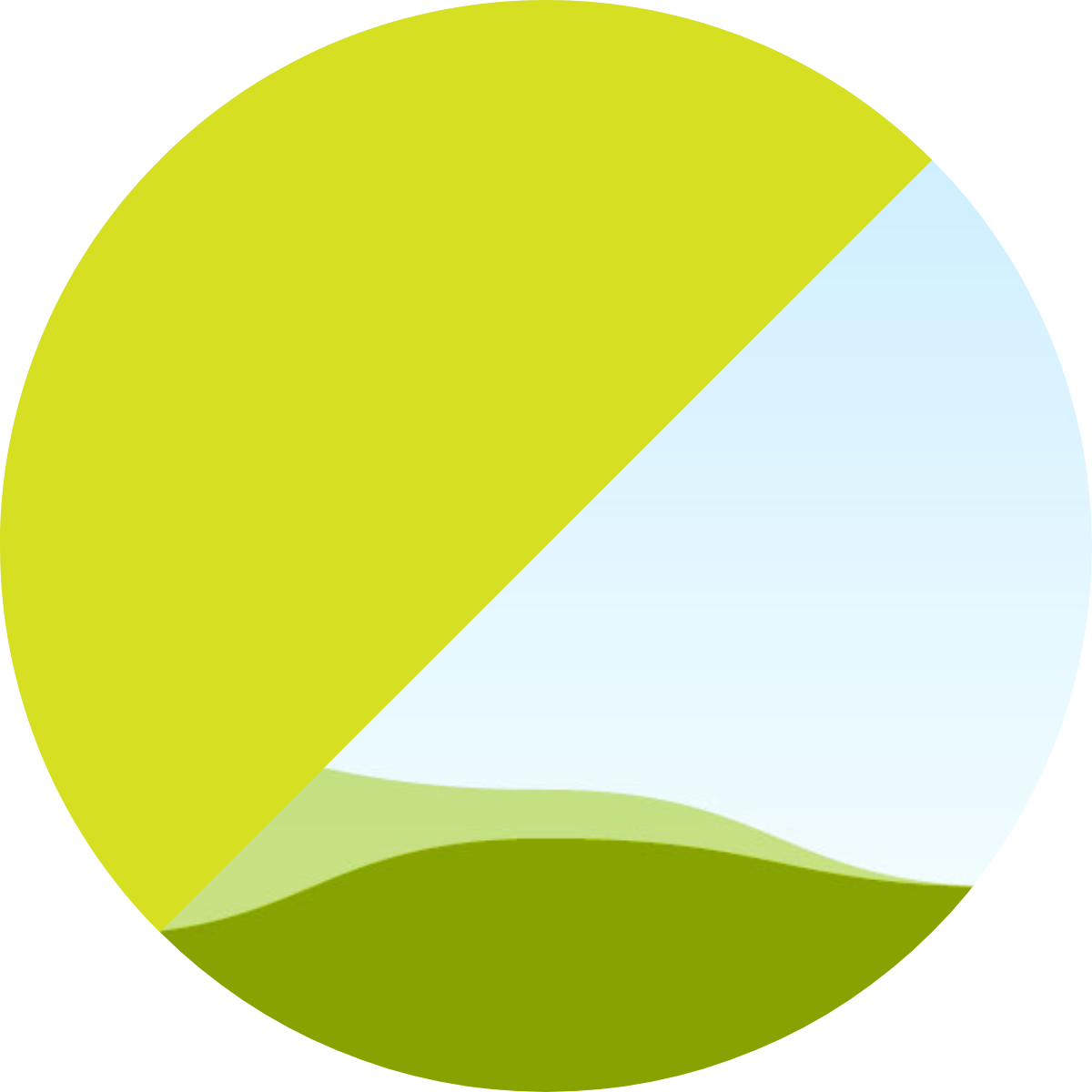 Office 2024 Standard